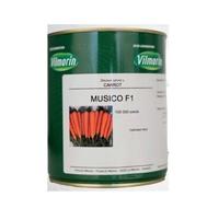 فروش بذر هویج MUSICO F1