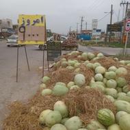 کار در میوه فروشی