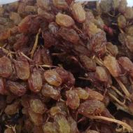 کشمش شغاری سایه خشک