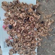 گردوکیلوی صدو ده هزار تومن