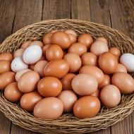 تخم مرغ نطفه دار دورگه محلی