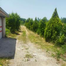 زمین مسکونی 225 مترخیابان ساحل حسن سرا رودسر