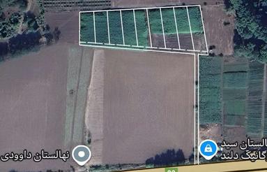 یک هکتار زمین اکازیون
