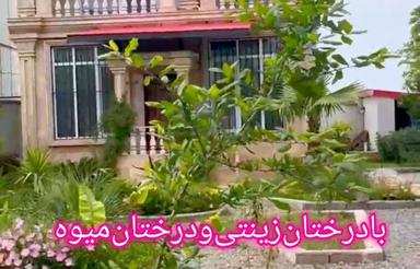 فروش ویلا 3خواب‌مساحت600 متر در مالفجان