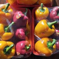 فروشنده خانم یا پسر نوجوان برای میوه فروشی
