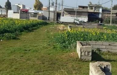 زمین کمربندی نکا 150 متر 