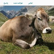 ب یک خانواده جهت کاردرگاوداری نیازمندیم