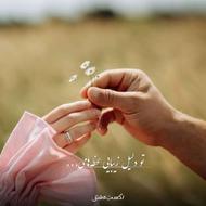 استارت پژو پارس