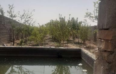 باغ درحاجی آباد