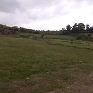فروش فوری زمین باغچه ای درروستای زیبای پائین کولا.