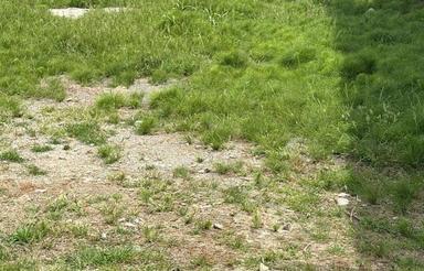 فروش زمین مسکونی 60 متر در خیابان محبوبی