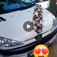 206 مدل 90 جوان پسند