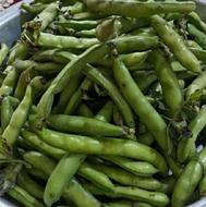 باقالی تازه چین
