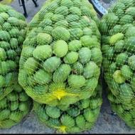 انبه محلی میناب