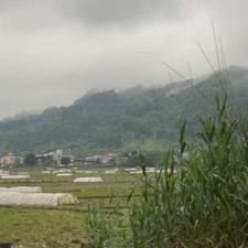 زمین شهری 196 متری در رزمندگان لاهیجان