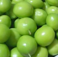 گوجه سبزنوبرانه
