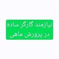 نیازمند کارگر برای پرورش ماهی