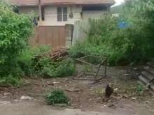 زمین مسکونی تجاری 166 متری در بسیج در شیپور