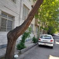 رهن واجاره طبقه همکف کارمندان شمالی