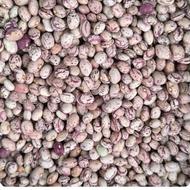 فروش عمده لوبیا چیتی