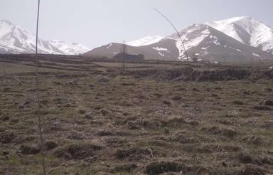 زمین زراعی آینده دار
