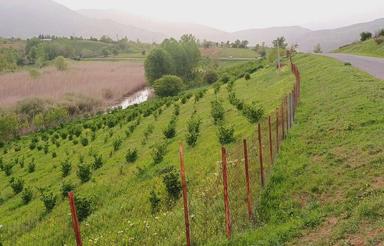 فروش زمین در بره‌سر منطقه توریستی