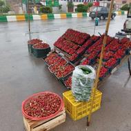 تهیه و ارسال توت فرنگی و انواع میوه جات