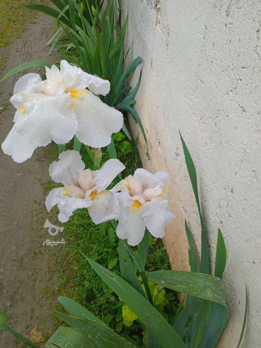 جویای شب کاری دائم هستم در کارخانه - bbbb