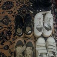 کفش درجه یک .