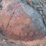 دوستان نگاه کنیداین شهاب سنگه یانه سنگ دفین