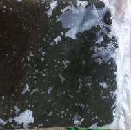 قرمه سبزی اماده