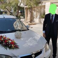 جن تو پروتون عروسک2007