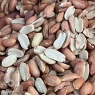 خریدار لپه بادام زمینی