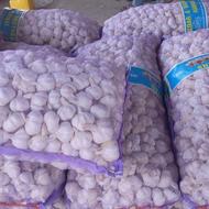 سیر خشک چینی