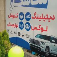 نیروی کار در کارواش ودیتیلینگ