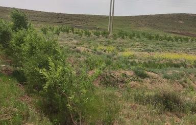 باغ ویلا.چهاردیواری