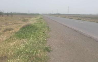 زمین 1000متری برای باغچه