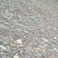 حفارم در میانه