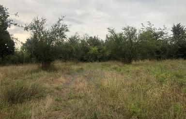 1250 متر زمین واقع در روستای تیرتاش گلوگاه