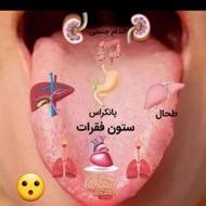 مشاوره زبان شناسی از روی عکس زبان