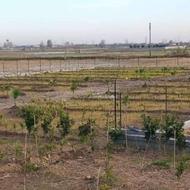 فروش زمین سرمایه گذاری170 متر اقساط