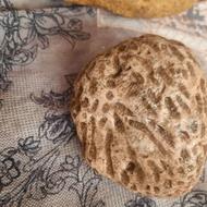 سنگ فسیل کلکسیونی سه کیلویی