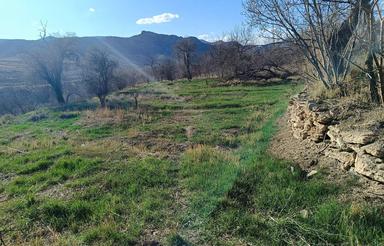 زمین باغی واقع در تفرش روستای کبوران