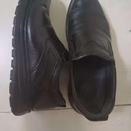 کفش و کتانی در حد نو
