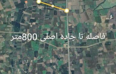زمین باغ تامسون
