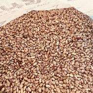 لوبیا چیتی