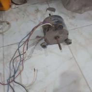 فن کولر دلفین