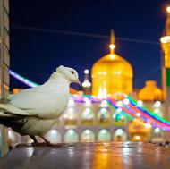 تور ریلی مشهد الرضا