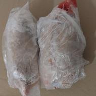 اردک اسرائیلی نر