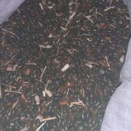 لوبیا سبز درجه 1